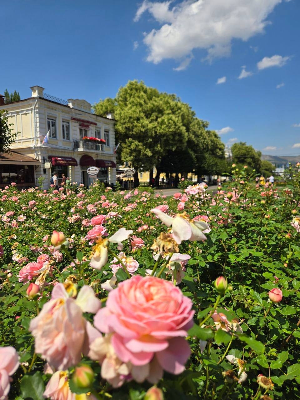 o-2iNSk5qpDkVxUKN8u6-4-466BslDtOiuazV62WgeiVaud_muMAWJFkFvv77PKuDG6_59pkS-YCjrcpfmceR7Hj